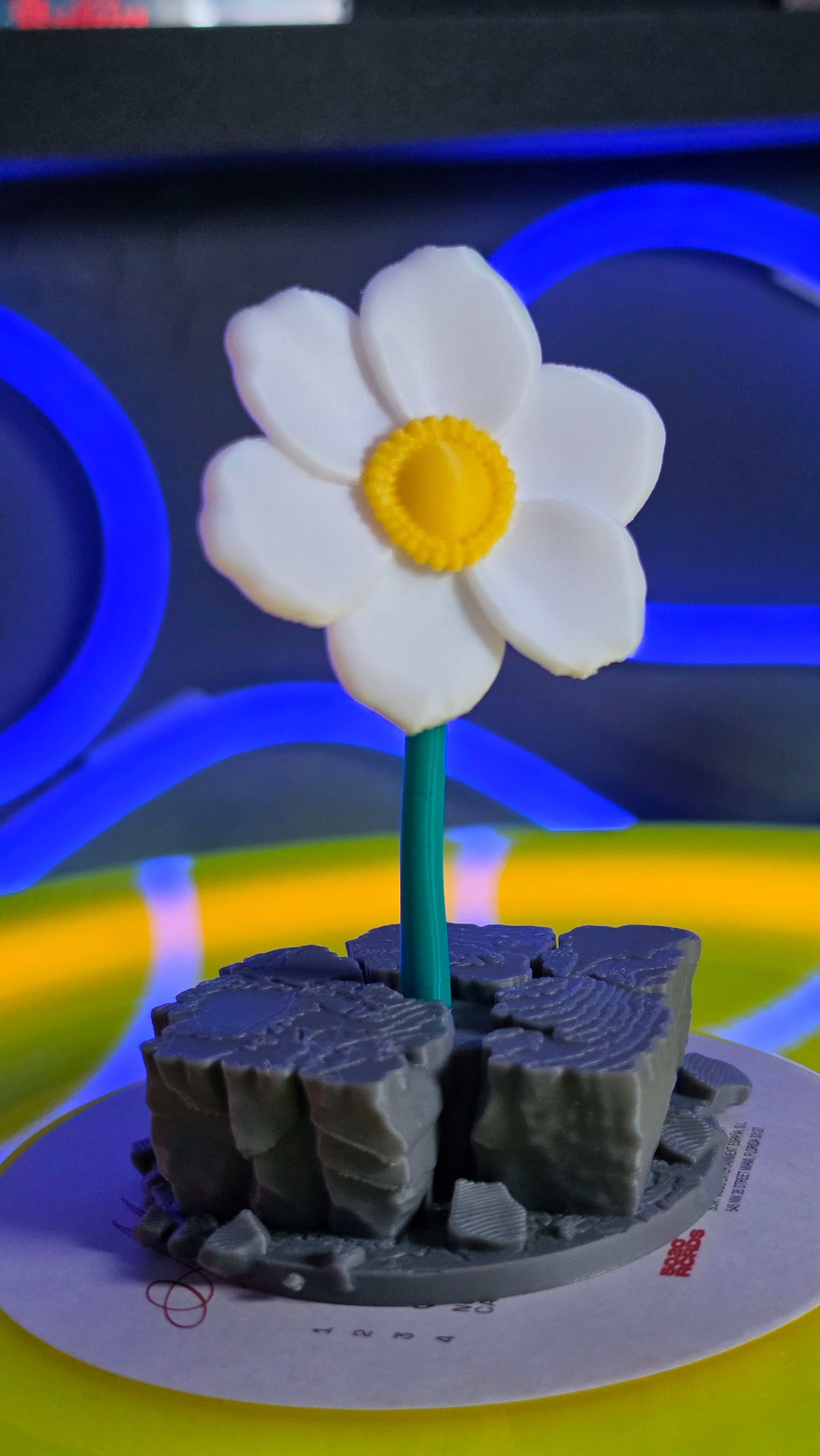 The Flower