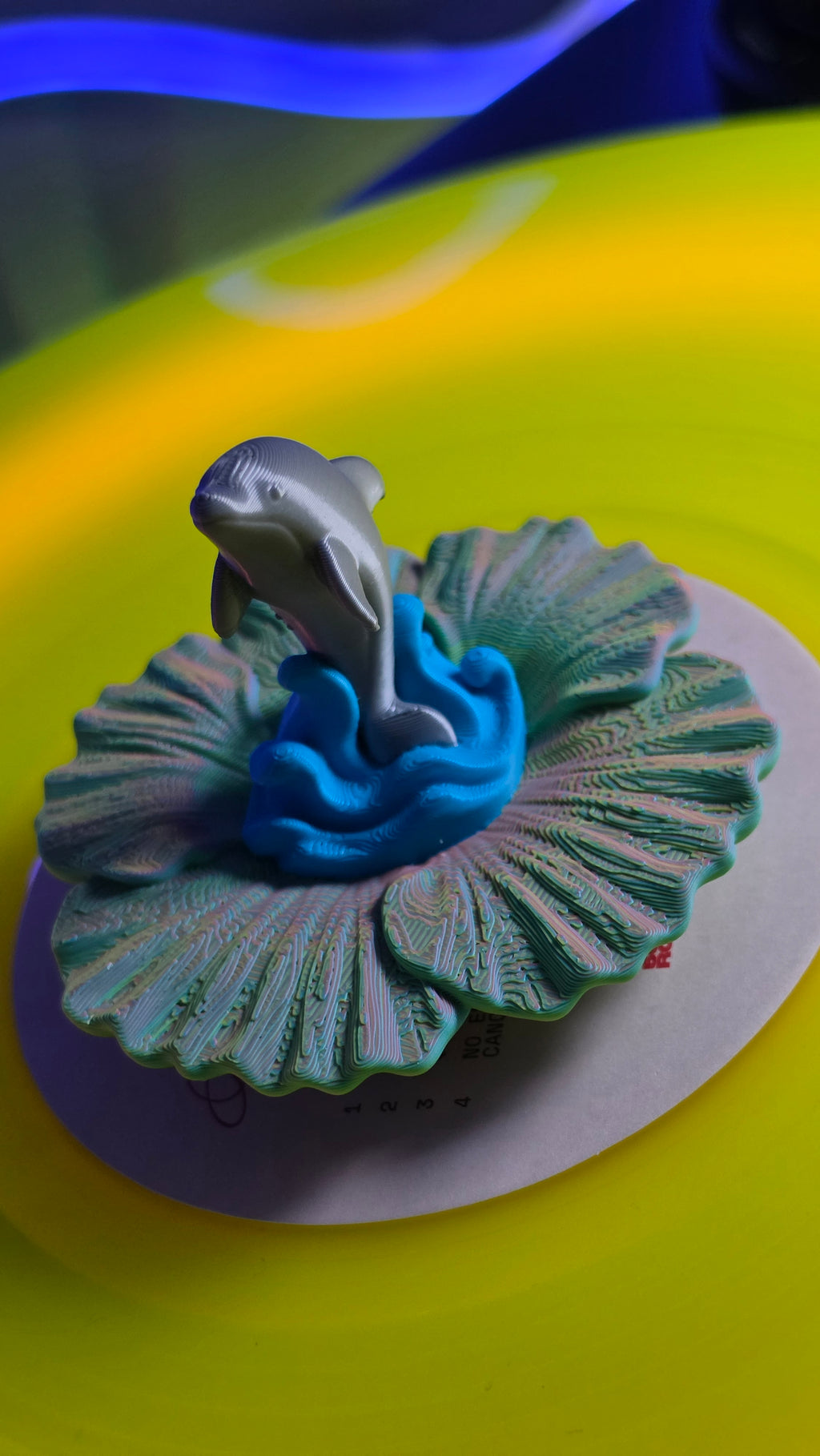 Dolphin