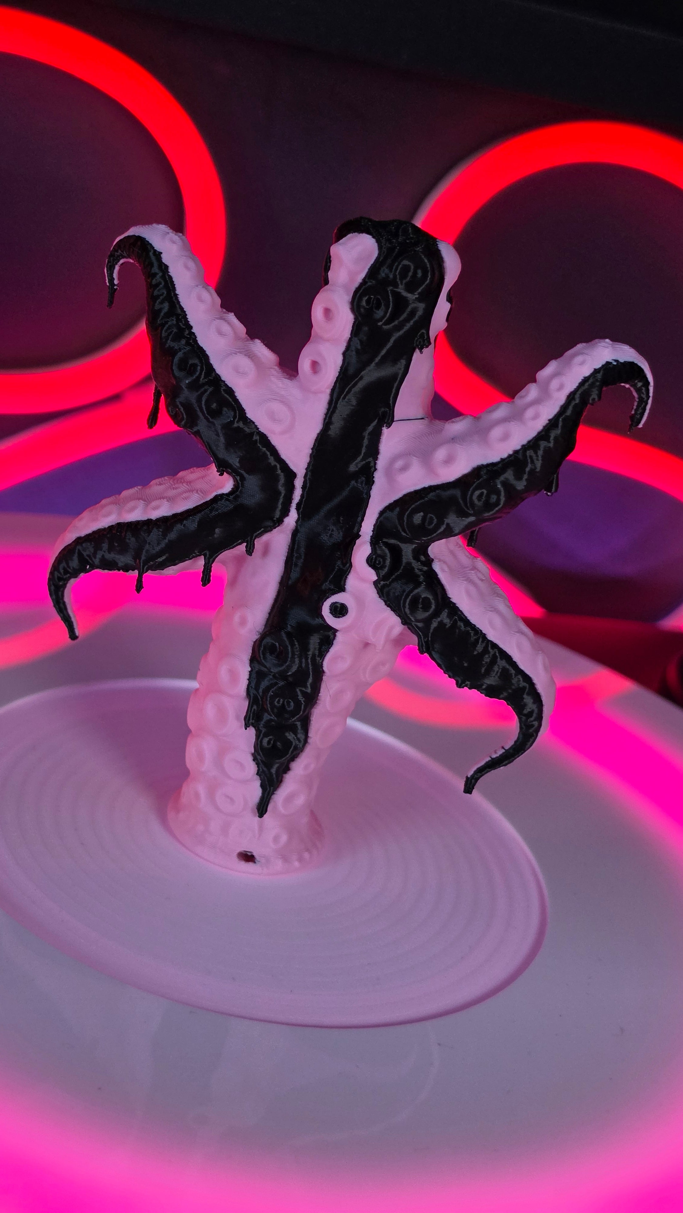 Octopus