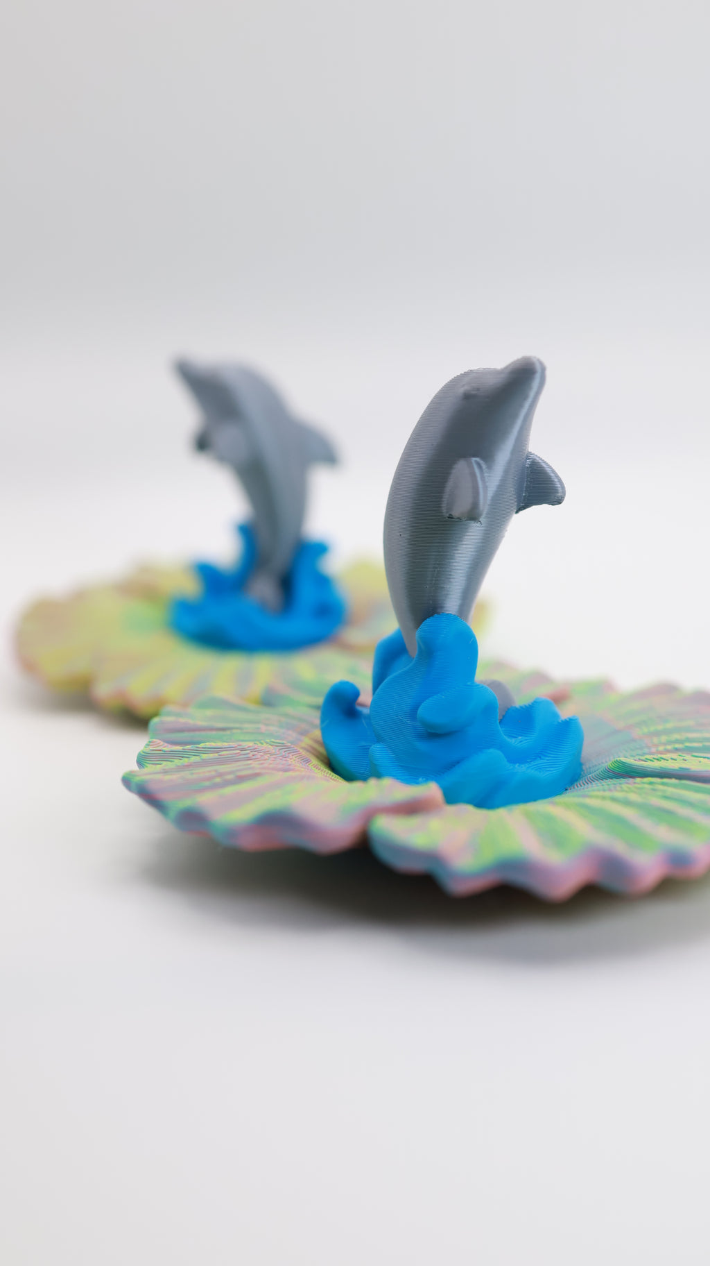 Dolphin