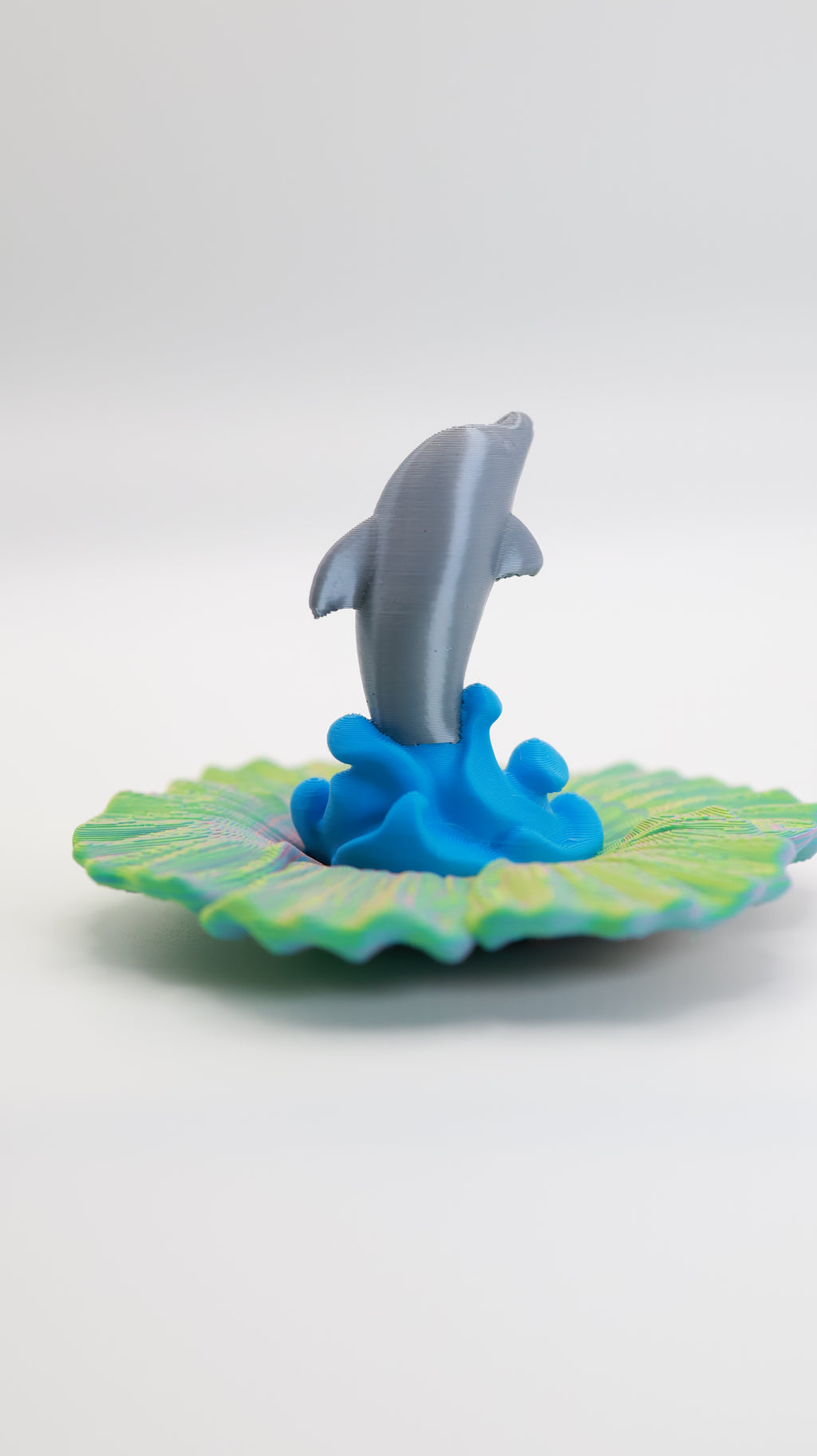 Dolphin