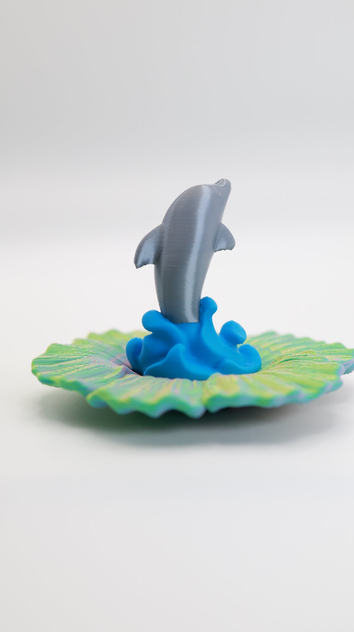 Dolphin