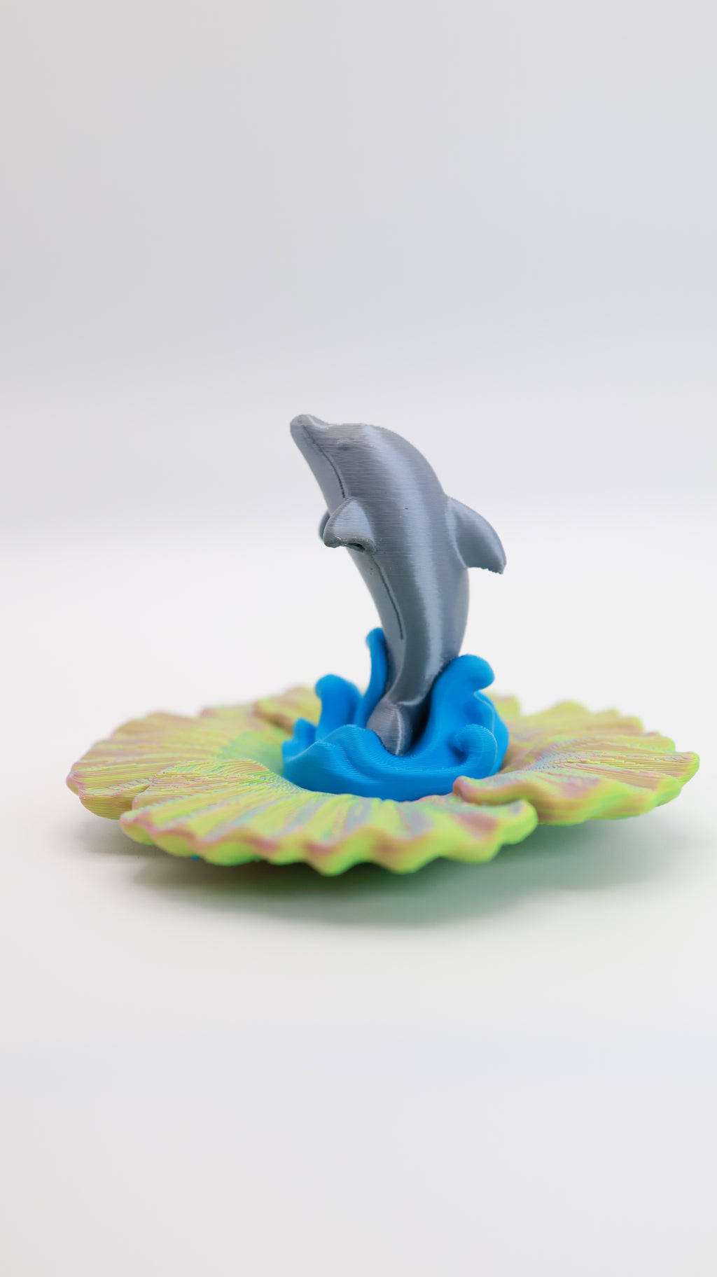 Dolphin