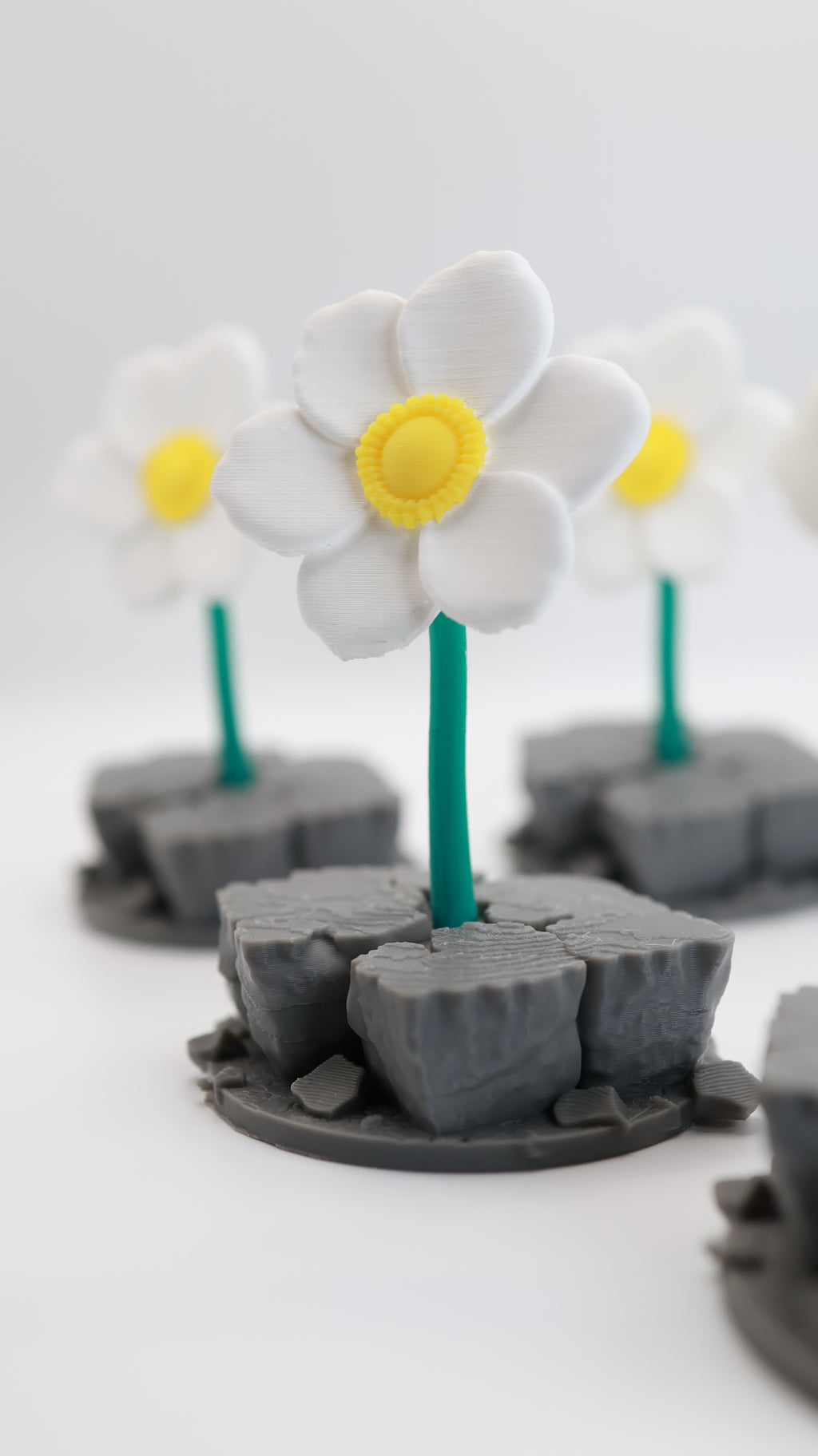 The Flower