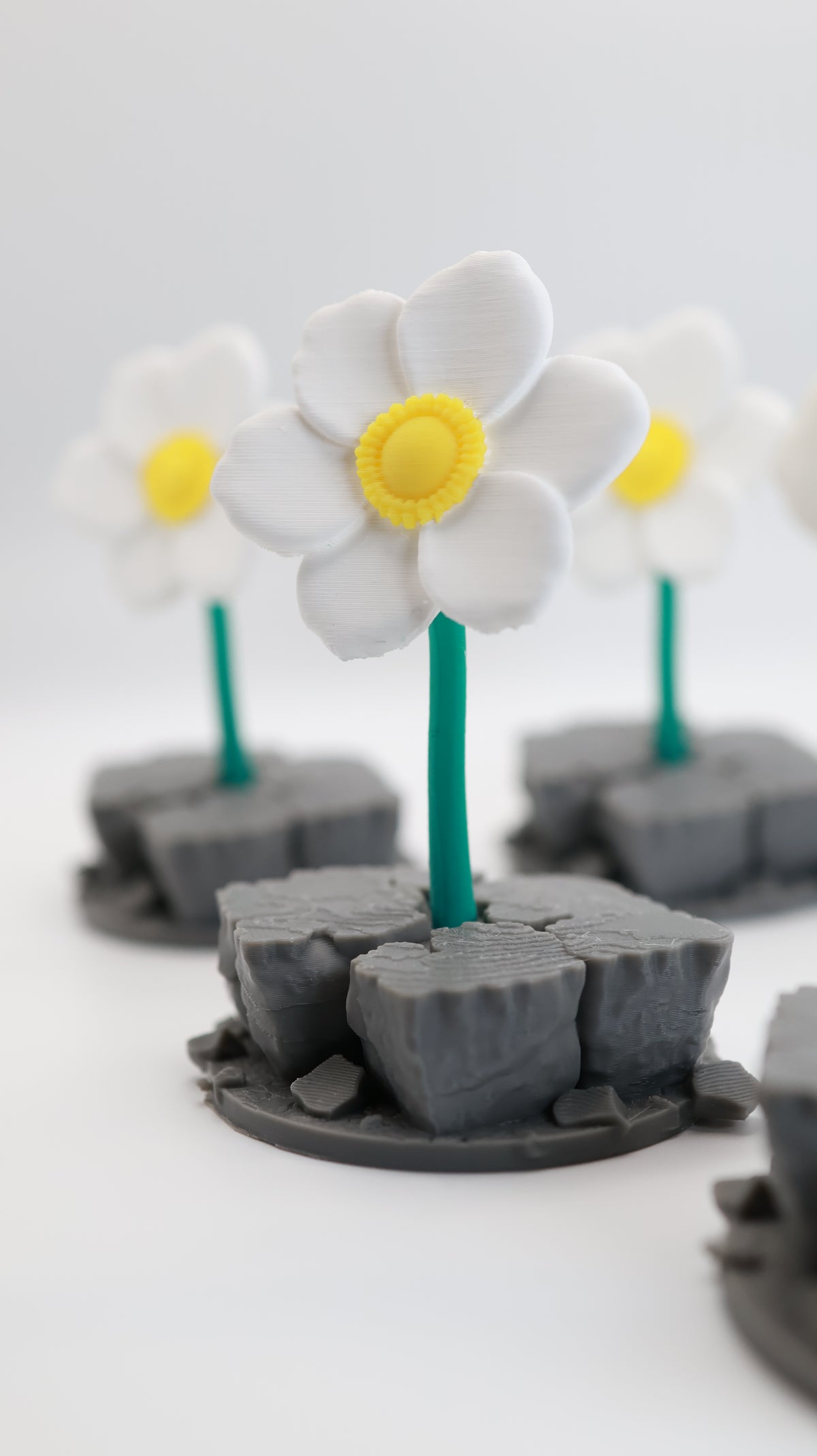 The Flower