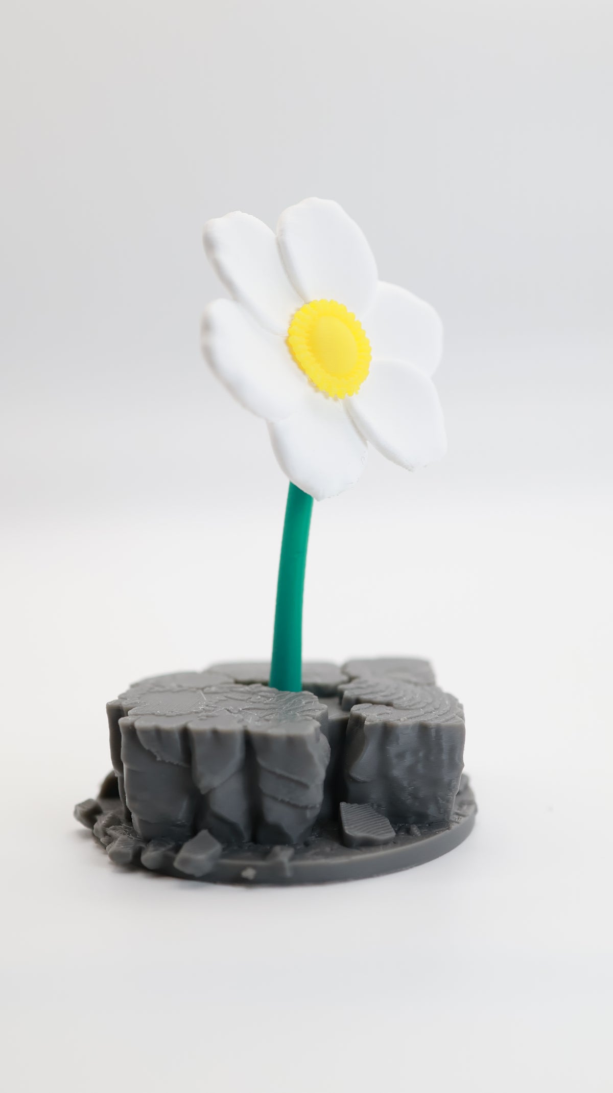 The Flower