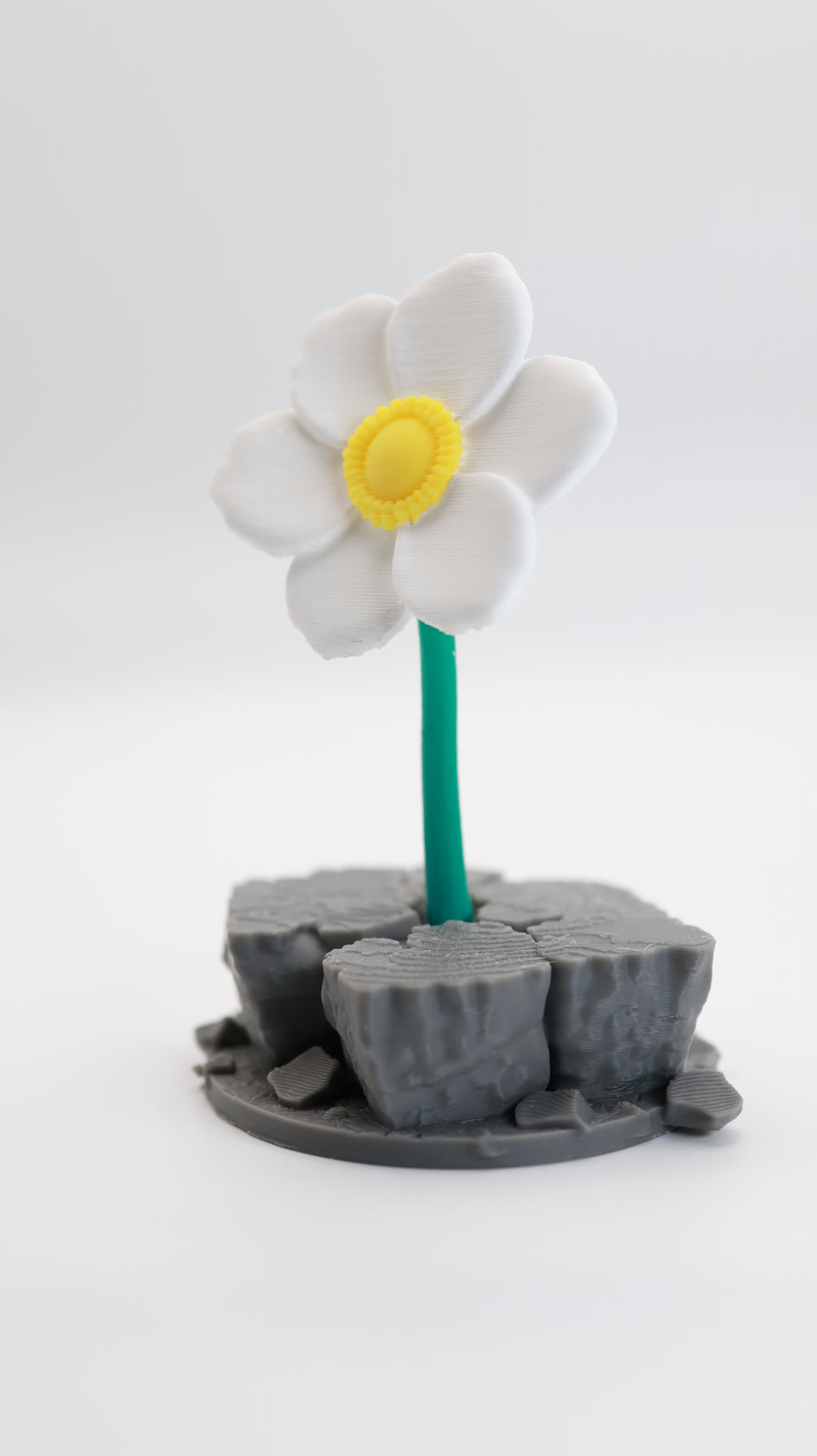 The Flower