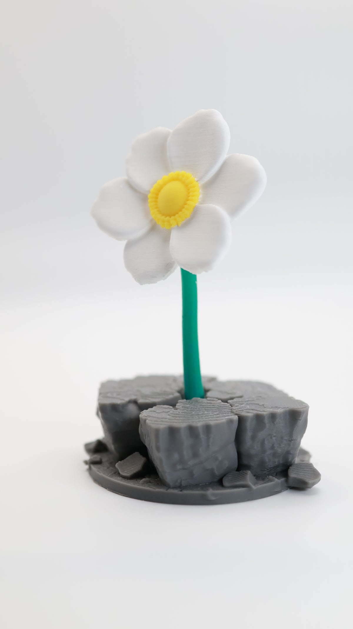 The Flower