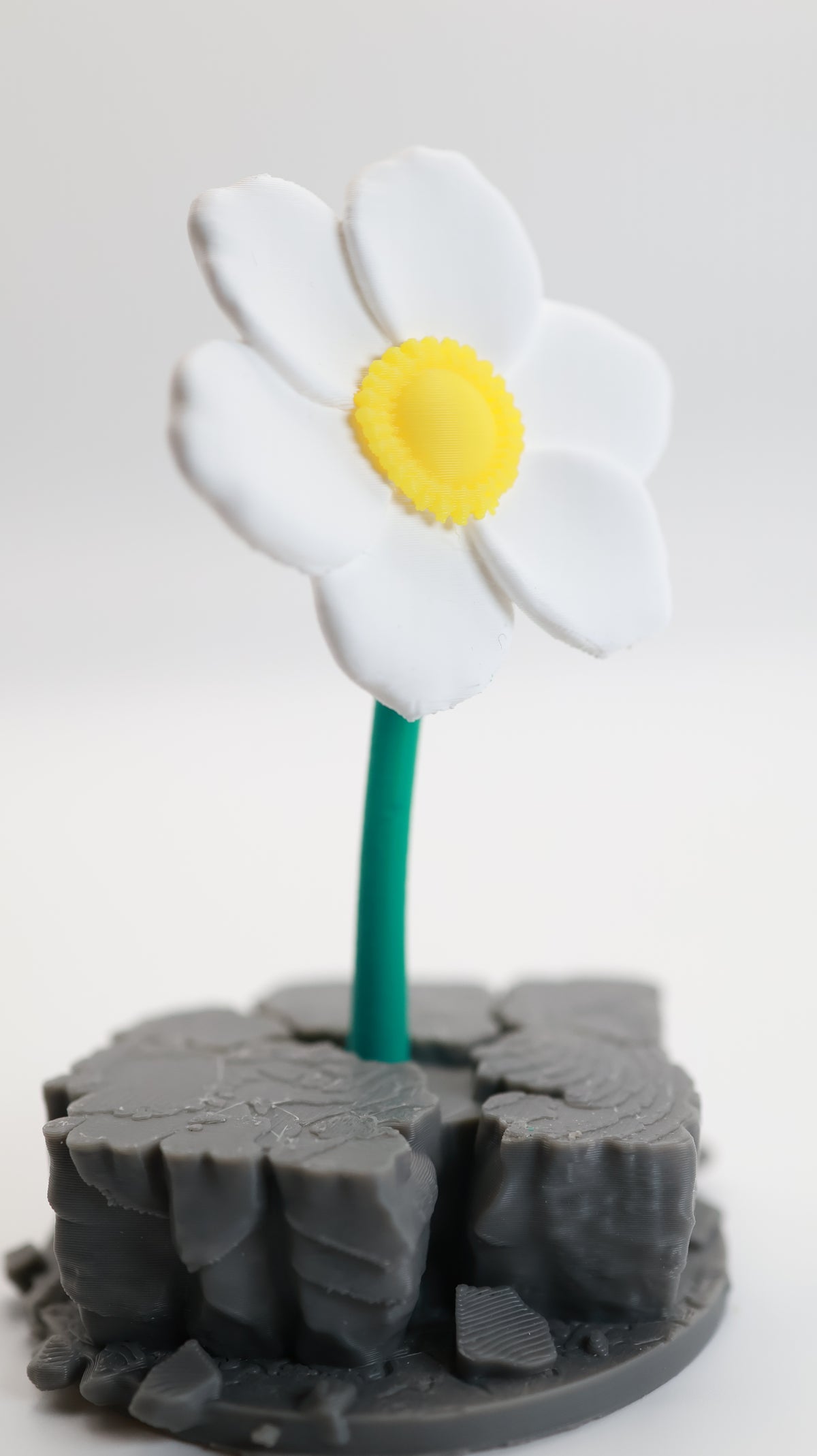 The Flower