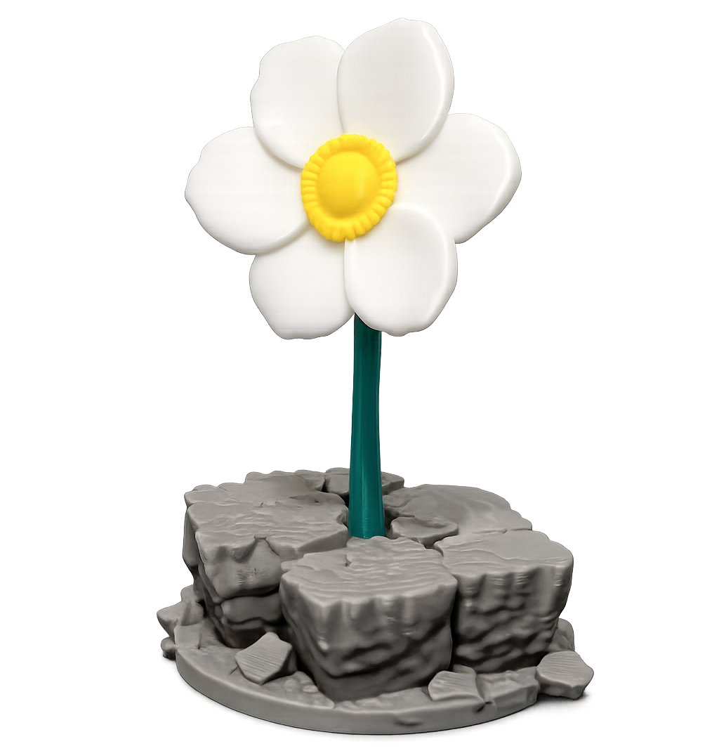 The Flower